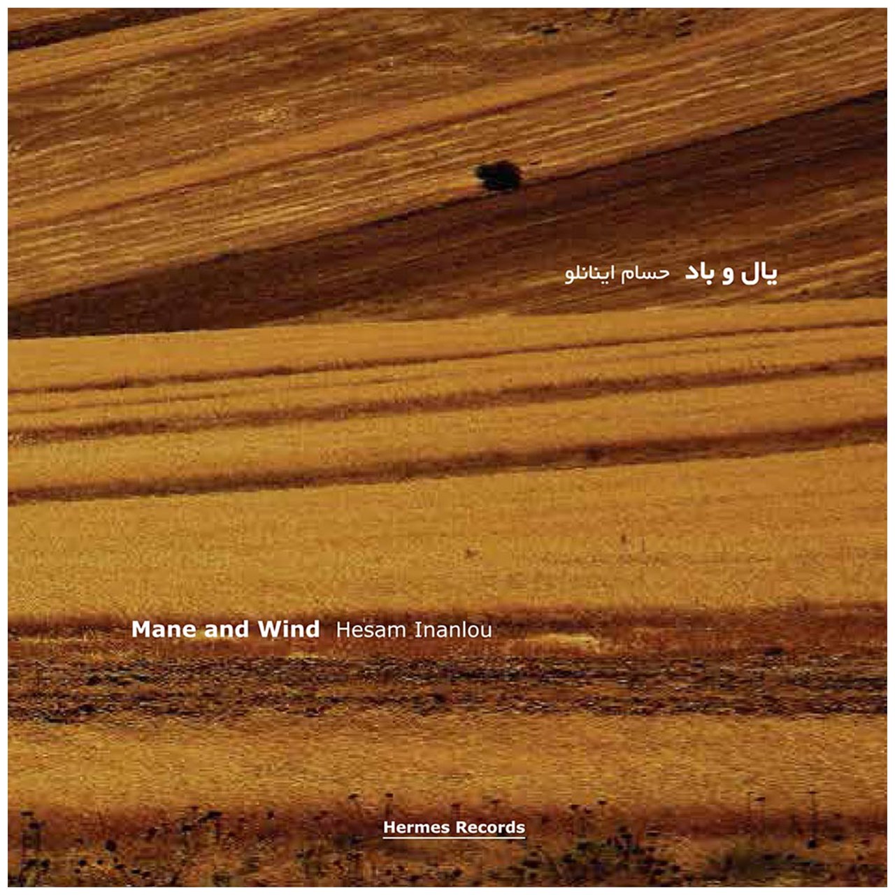 آلبوم موسیقی یال و باد اثر حسام اینانلو