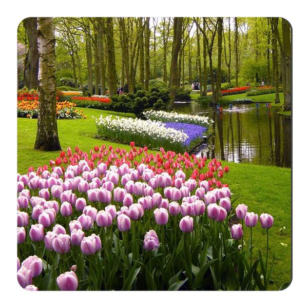 مگنت طرح باغ گلها در هلند کد wmg2909