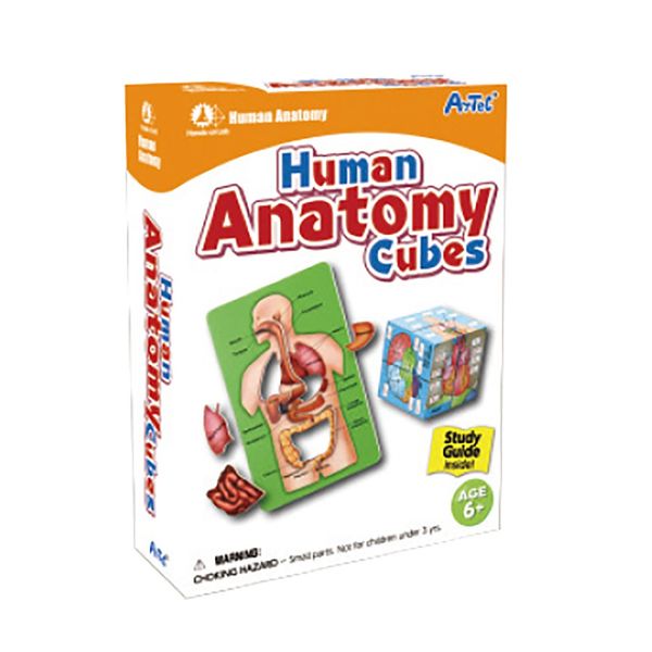 بسته آموزشی آرتک مدل مکعب های آناتومی بدن انسان همراه با کتاب