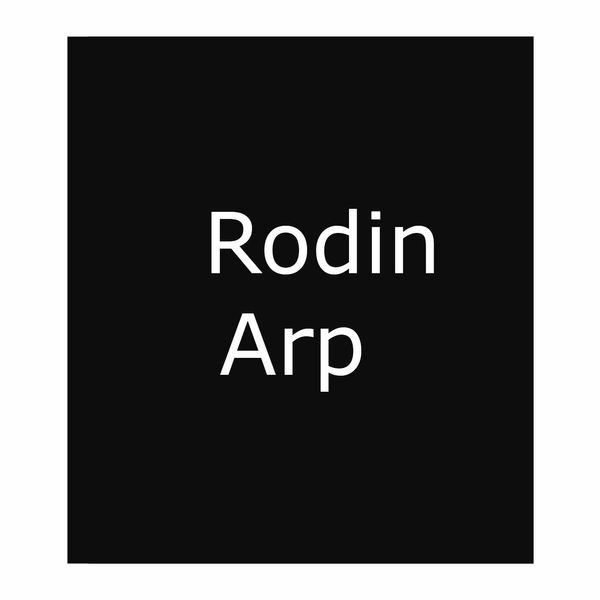کتاب Rodin, Arp اثر Raphaël Bouvier انتشارات Hatje Cantz