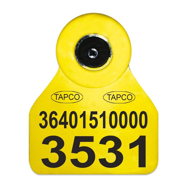 پلاک و شماره گوش دام تاپکو مدل CTF50-65