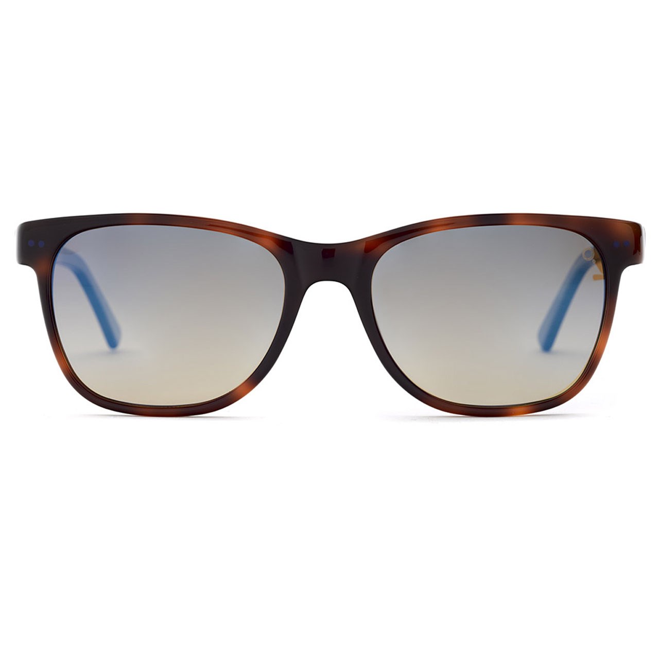 عینک آفتابی اتنیا بارسلونا سری Salva مدل HVBL