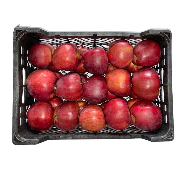 سیب قرمز میوری -5 کیلوگرم