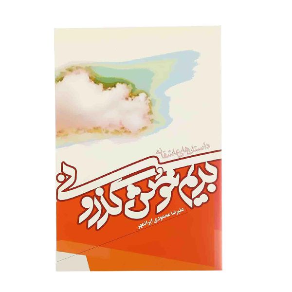 کتاب بریم خوش گذرونی اثر علیرضا محمودی نشر روشنگران و مطالعات زنان