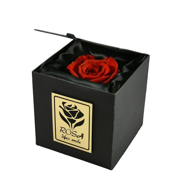 جعبه گل ماندگار رزا مدل رز جاودان قرمز