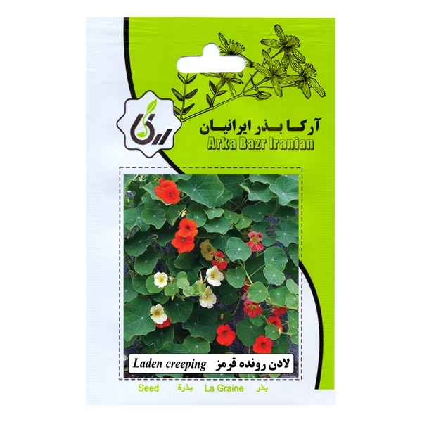 بذر گل لادن رونده قرمز آرکا بذر ایرانیان کد 82-ARK