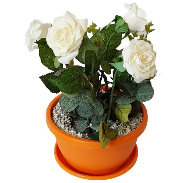 گلدان گل برتاریو مدل White Rose