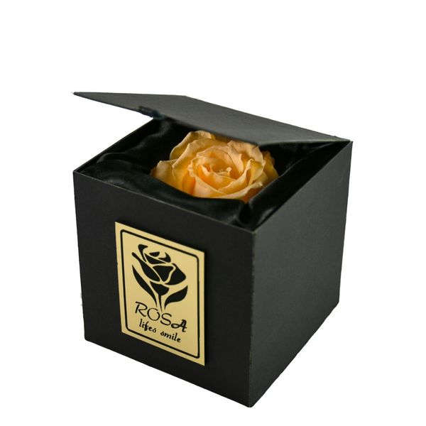 جعبه گل ماندگار رزا مدل رز جاودان نارنجی روشن