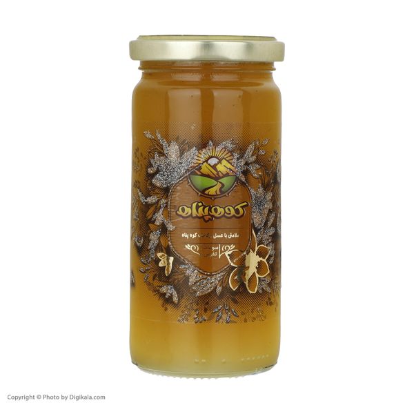 عسل چند گیاه بهاره گلد و عصاره بره موم ارگانیک کوهپناه - 300 گرم