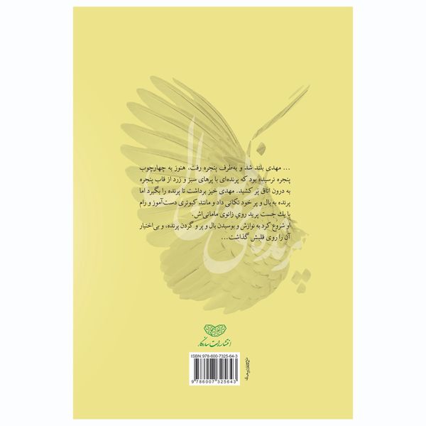کتاب پرنده‌ی رنگین بال اثر سید علیرضا حافظی انتشارات ساز و کار