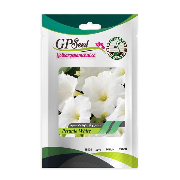 بذر گل اطلسی گل درشت سفید جی پی سید مدل GP7969