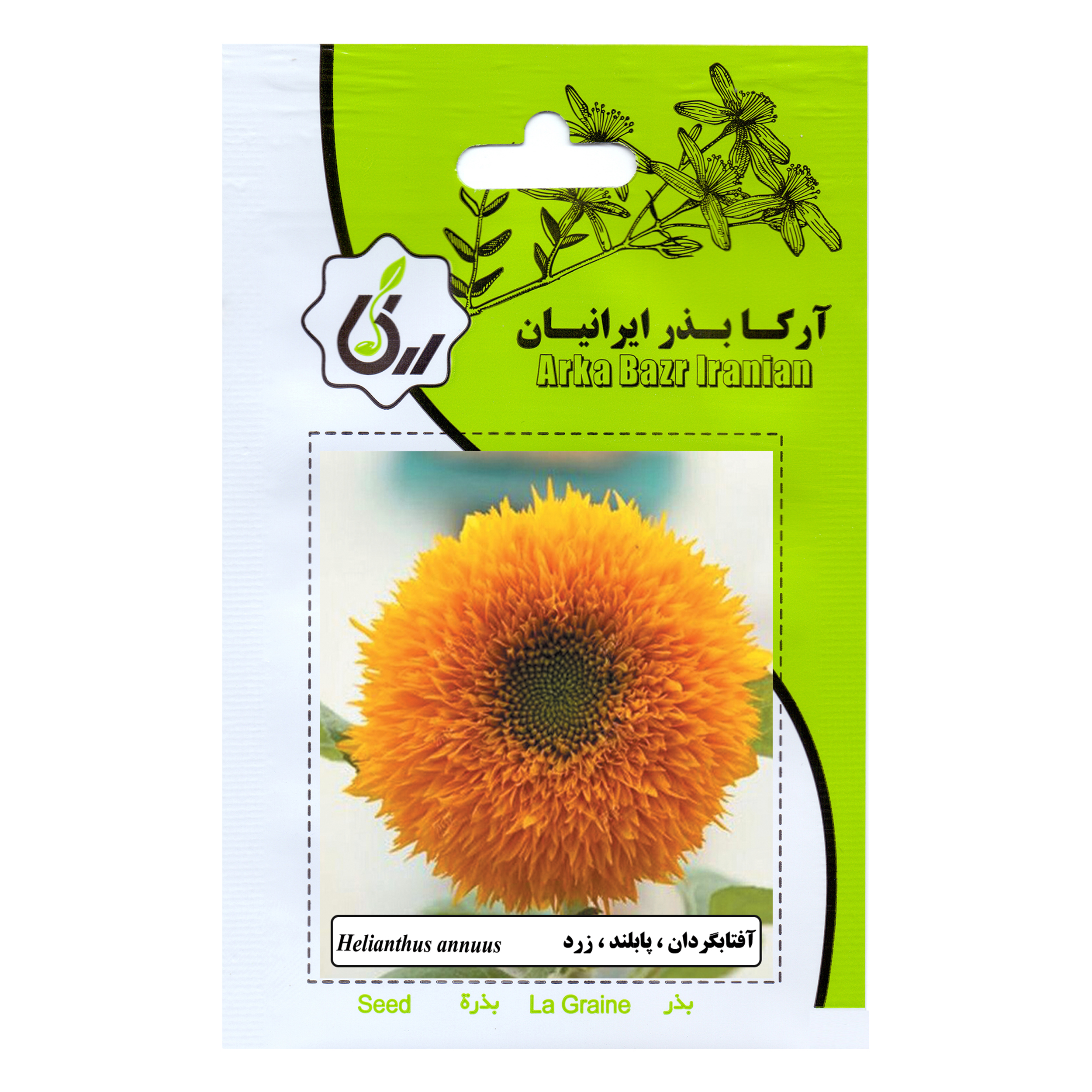 بذر گل آفتابگردان پابلند زرد آرکا بذر ایرانیان کد 70-ARK