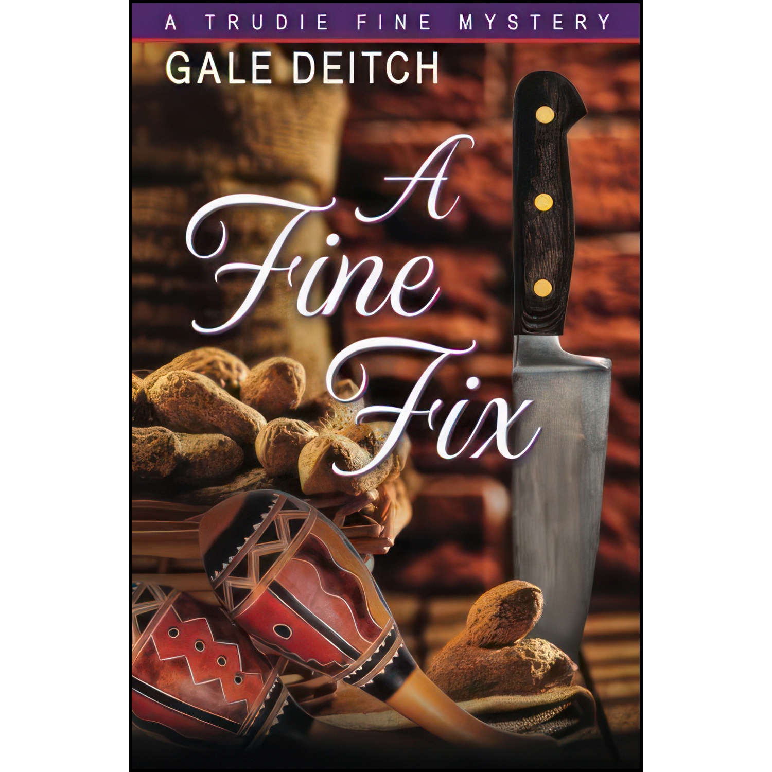 کتاب A Fine Fix اثر Gale Deitch انتشارات تازه ها