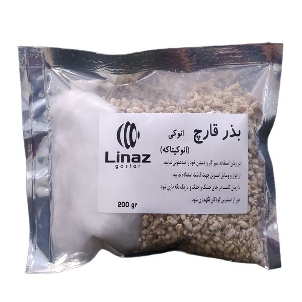 بذر قارچ انوکی لیناز گستر کد 20 وزن 200 گرم