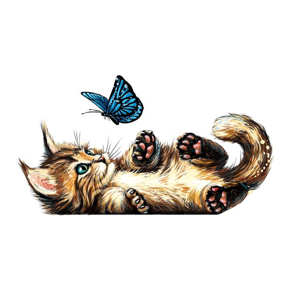 استیکر گراسیپا مدل گربه و پروانه