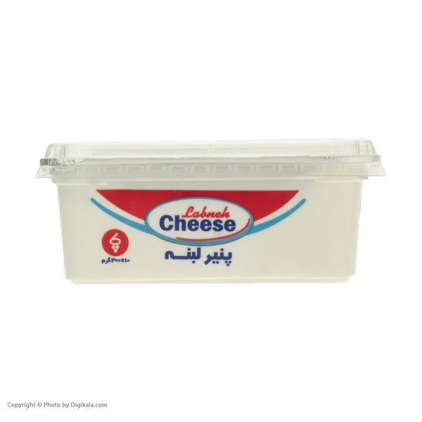 پنیر لبنه پاک - 300 گرم