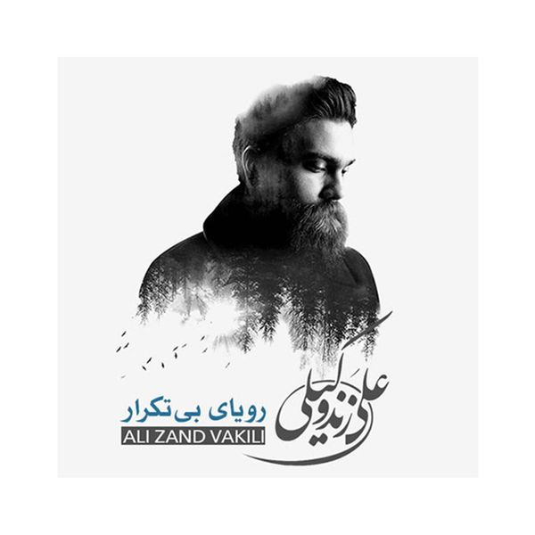 آلبوم موسیقی رویای بی تکرار اثر علی زند وکیلی - بسته بندی دیجی پک