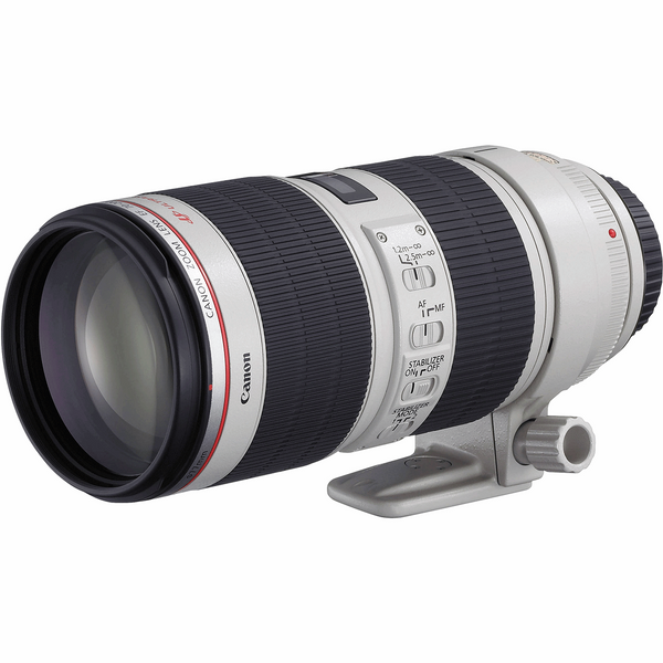 لنز کانن مدل EF 70-300mm f/4-5.6L IS مناسب برای دوربین های کانن