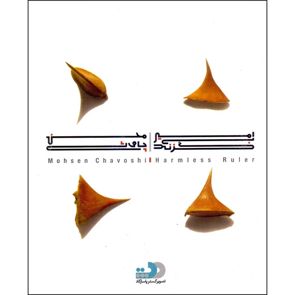آلبوم موسیقی امیر بی گزند اثر محسن چاوشی