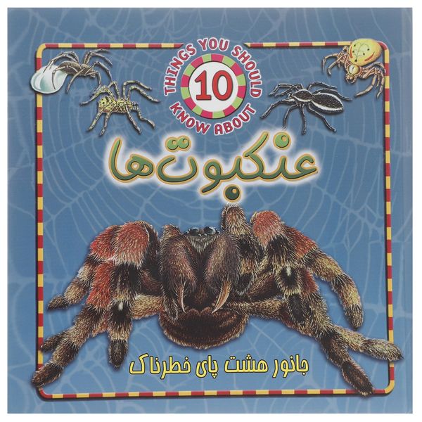 کتاب عنکبوت ها - جانور هشت پای خطرناک اثر استیو پارکر