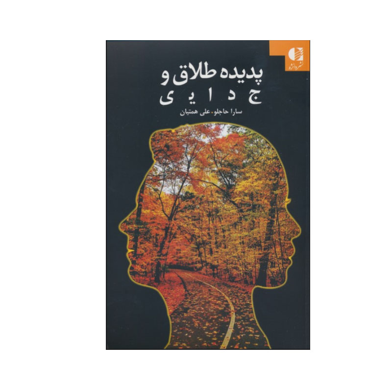 کتاب پدیده طلاق و جدایی اثر سارا حاجلو و علی همتیان انتشارات دانژه