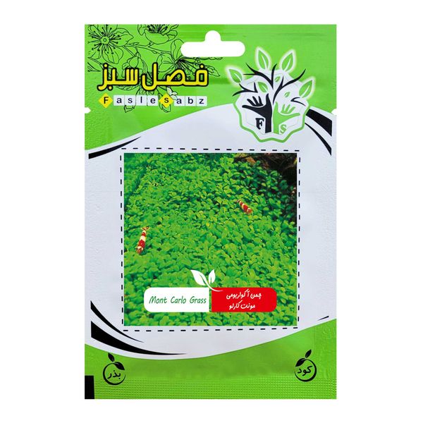 بذر چمن آکواریومی مونت کارلو فصل سبز کد FSSEED-035