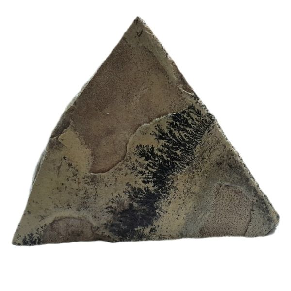سنگ راف مدل شجر فسیلی  آکواریوم کد 458