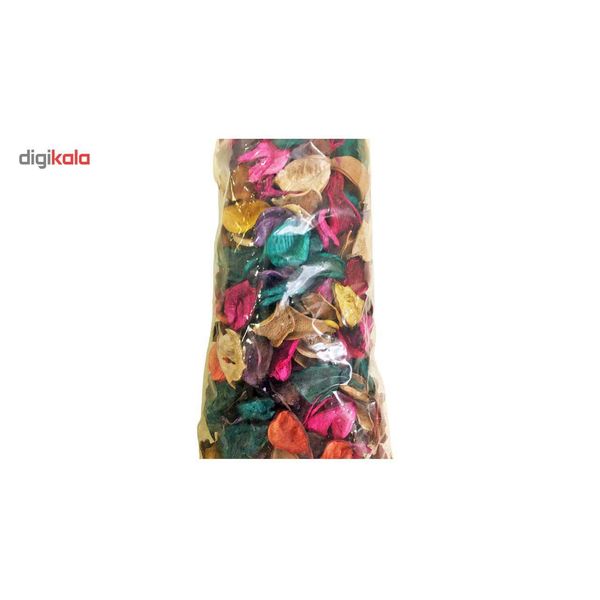 گل خشک بسته بندی مدل رنگارنگ