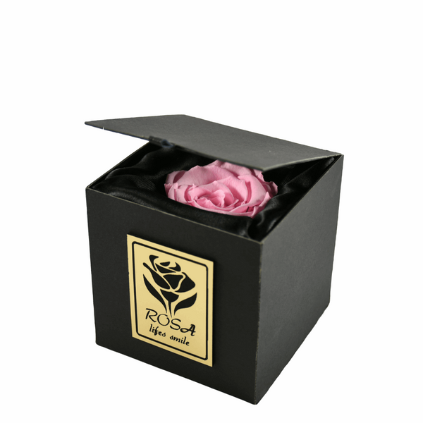 جعبه گل ماندگار رزا مدل رز جاودان صورتی