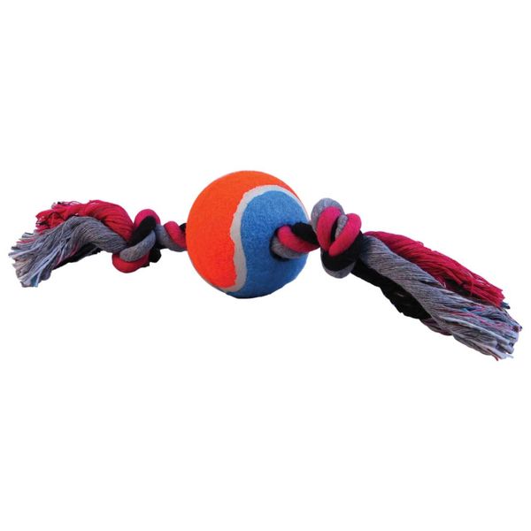 اسباب بازی سگ دی پی اس مدل طنابی دندانی به همراه توپ تنیس