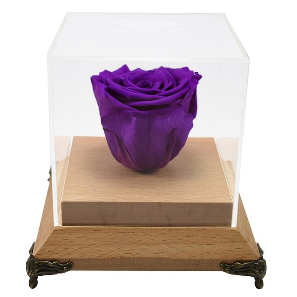 جعبه گل ماندگار رزا مدل رز جاودان بنفش چوبی سایز گل L