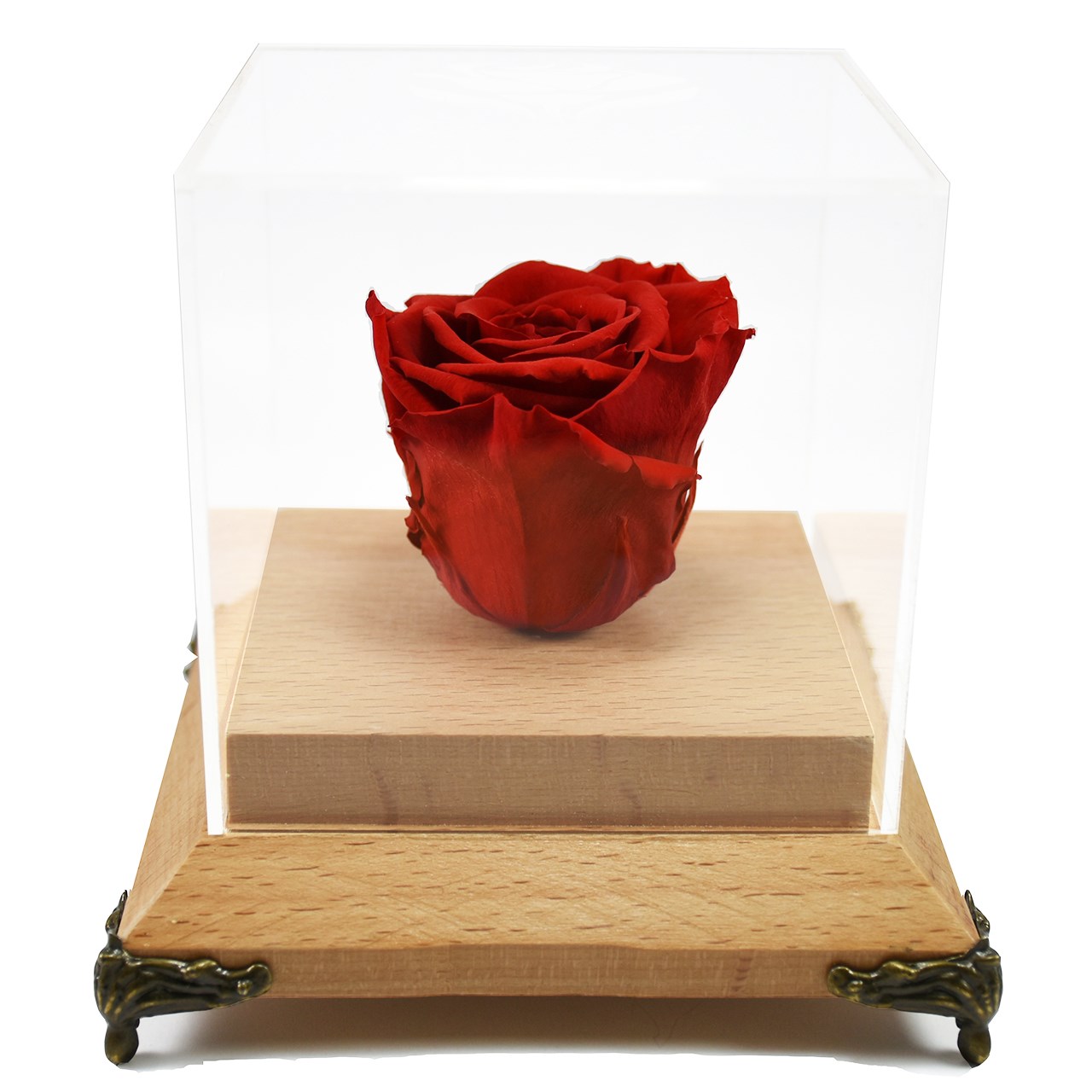 جعبه گل ماندگار رزا مدل رز جاودان چوبی