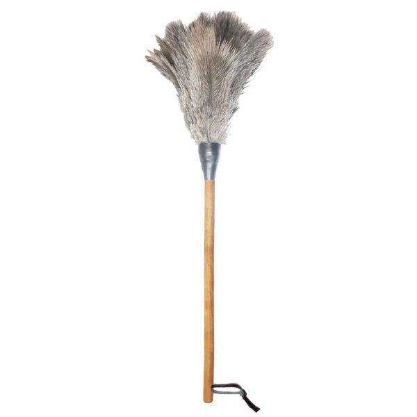 گردگیر آلین مدل Ostrich Feather 2