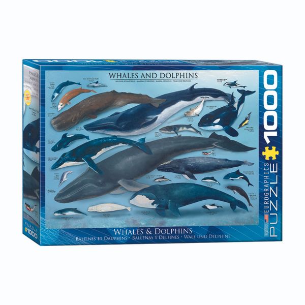پازل 1000 تکه یوروگرافیکس پازلز مدل وال‌ها و دلفين‌ها كد 0082