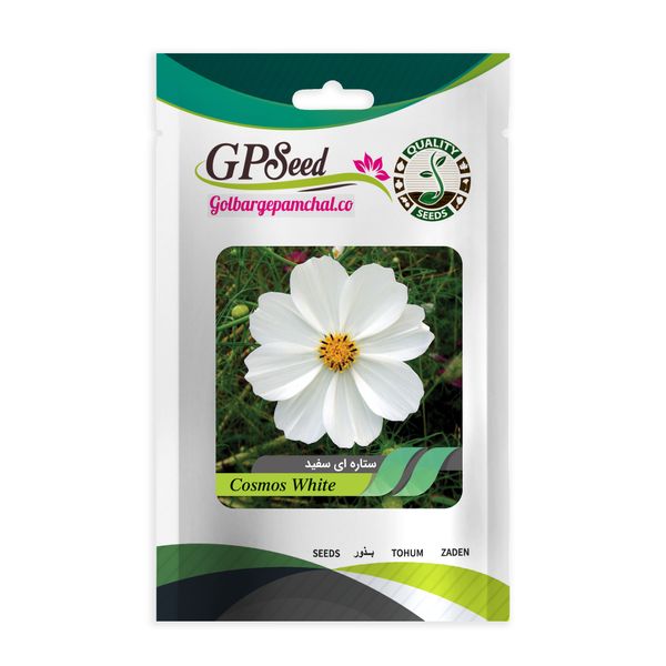 بذر گل ستاره ای سفید جی پی سید مدل GP14785