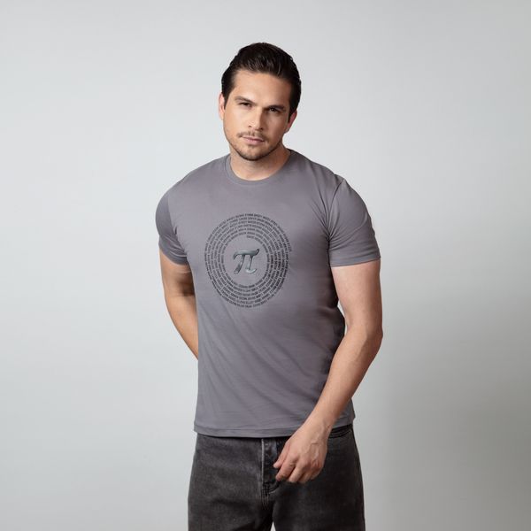 تی شرت آستین کوتاه مردانه باینت مدل 764-2 رنگ طوسی 