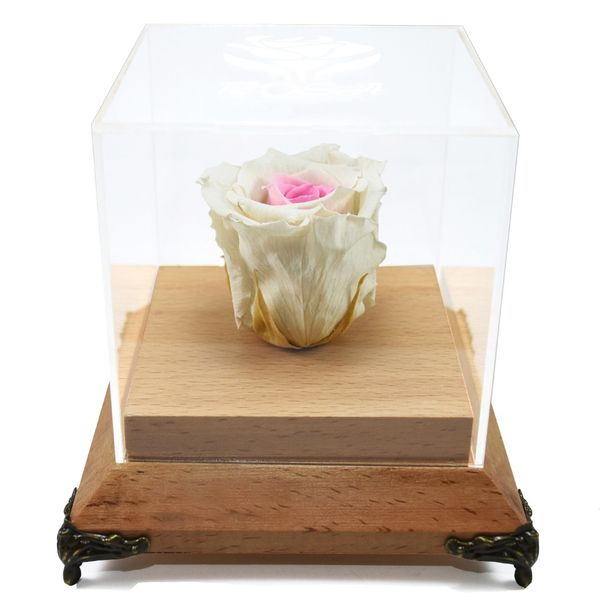 جعبه گل ماندگار رزا مدل رز جاودان سفید صورتی چوبی 