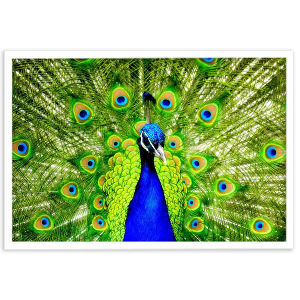 تابلو نوری بکلیت طرح طاووس مدل W-s56