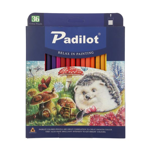 مداد رنگی 36 رنگ پادیلوت مدل M-810236-2