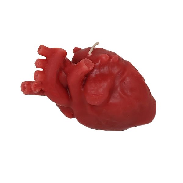 شمع پیمان مدل قلب آناتومی کد Z21
