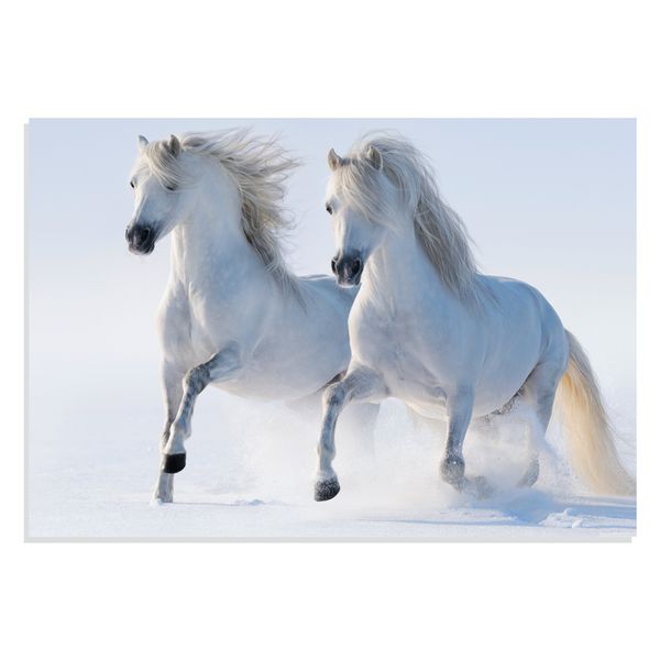 پوستر طرح حیوانات دویدن اسب در برف مدل NV0960
