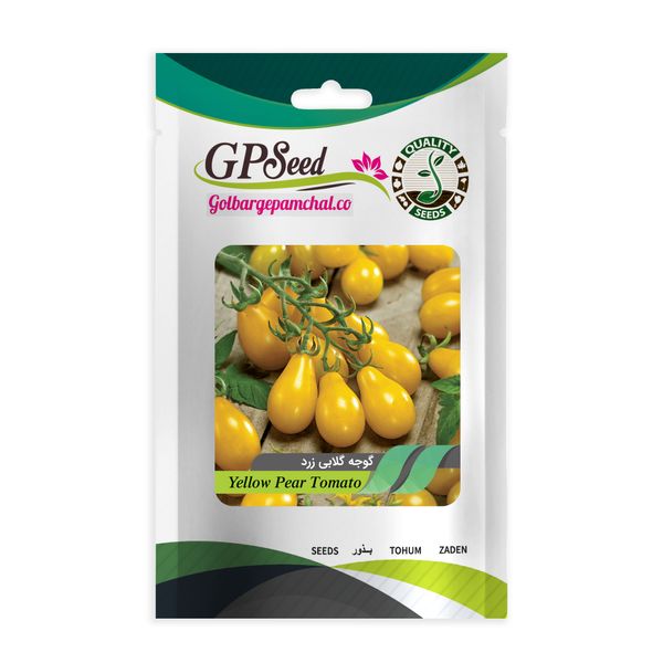 بذر گوجه گلابی زرد گلبرگ پامچال کد GPF-205