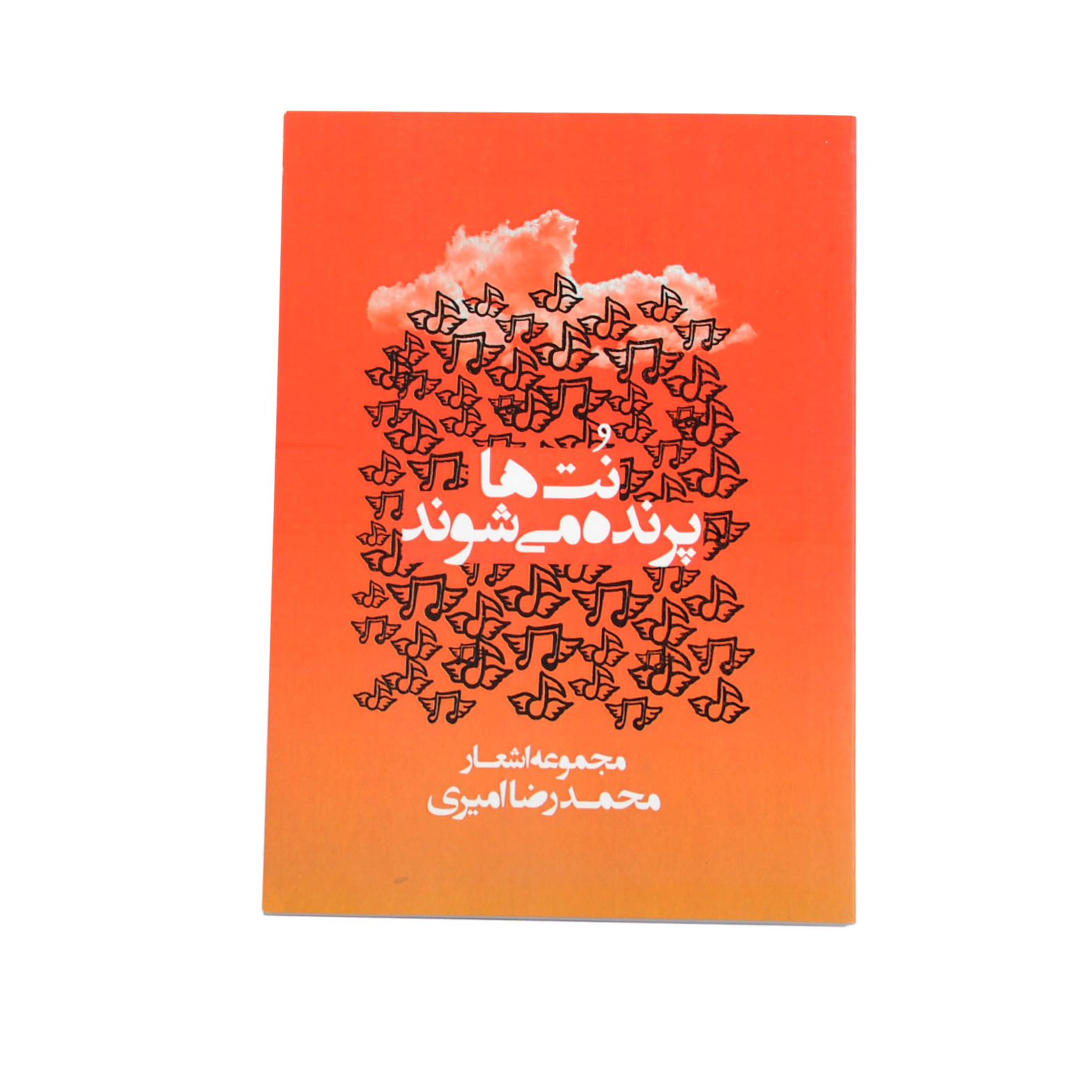 کتاب نت ها پرنده می شوند اثر محمدرضا امیری نشر خیابان