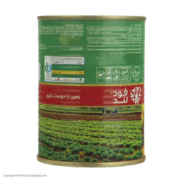 کنسرو مخلوط سبزیجات فودلند - 380 گرم