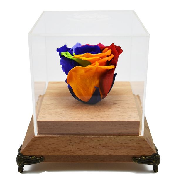 جعبه گل ماندگار رزا مدل رز جاودان رنگین کمان چوبی