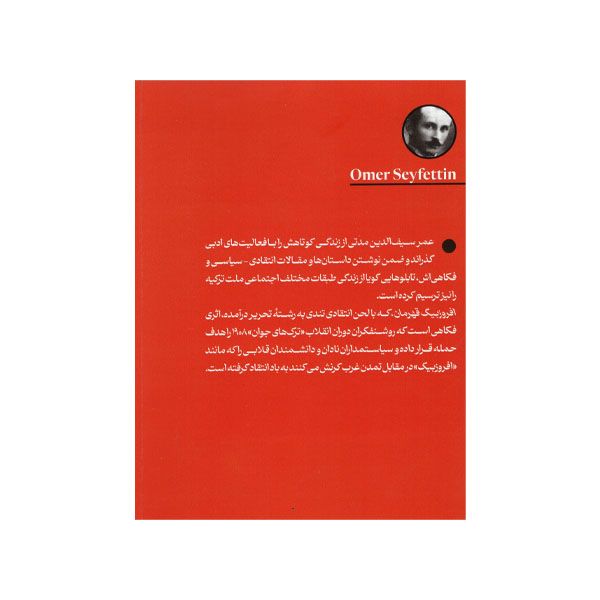 کتاب افروزبیگ قهرمان اثر عمرسیف الدین نشر امیر کبیر