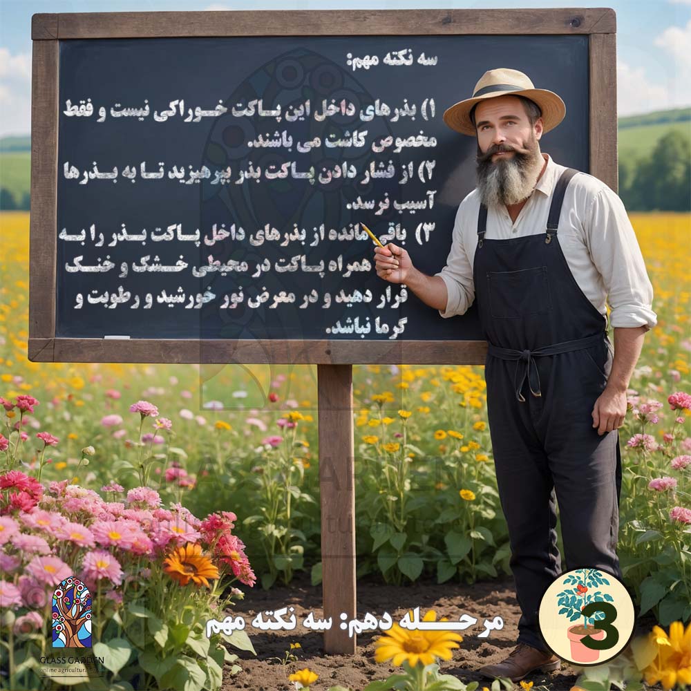 بذر گوجه چری گیلاسی نارنجی گلس گاردن مدل GL10