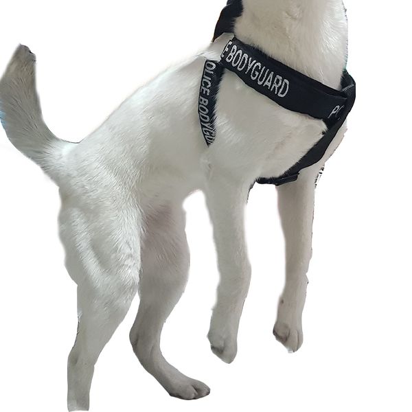 قلاده کتفی سگ مدل Police t9 به همراه بند