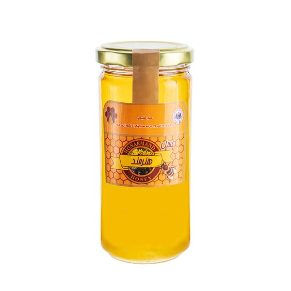 عسل طبیعی هنرمند - 300 گرم