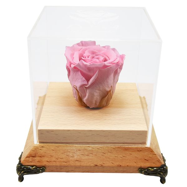 جعبه گل ماندگار رزا مدل رز جاودان چوبی